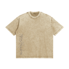 Premium Sand Washed T-Shirt (Sunvisible print)